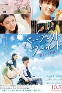 Идеальный мир (2018)